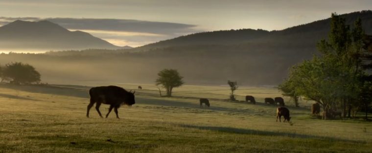 Krajina lesa je opravdu úžasná.